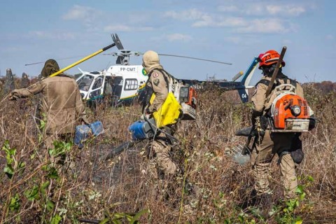 Bombeiros combate 21 incêndios florestais em Mato Grosso