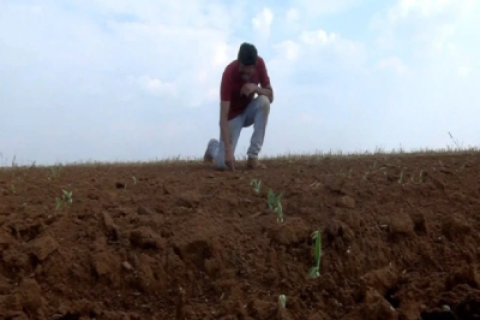 Indígenas de Campo Novo levam desenvolvimento as comunidades através do plantio em larga escala