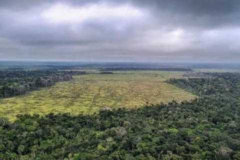 Degradação de florestas na Amazônia bate recorde mensal em setembro