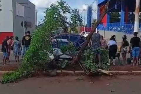 Pneu de carro estoura, motorista perde controle e bate em árvore