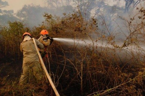 MT teve mais de 100 mil hectares devastados por fogo e destruição de madeira em agosto, diz Imazon