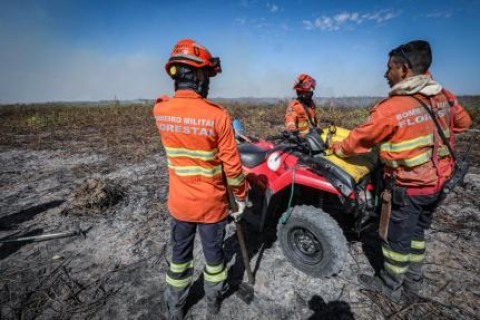 Corpo de Bombeiros de MT combatem 24 incêndios florestais neste domingo; veja