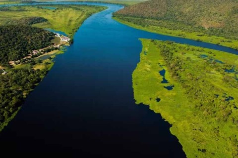 Lei que libera atividades pecuárias em áreas de preservação do Pantanal é sancionada em MT