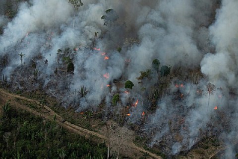 Incêndio queimou aproximadamente 20 mil hectares de terras indígenas entre Campo Novo e Tangará da Serra