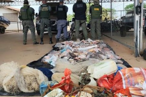 Polícia apreende 500 unidades de peixe e carne de jacaré durante fiscalização