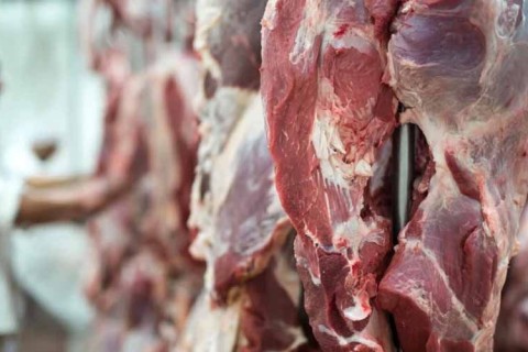 Brasil caminha para recorde histórico nas exportações de carne em 2024