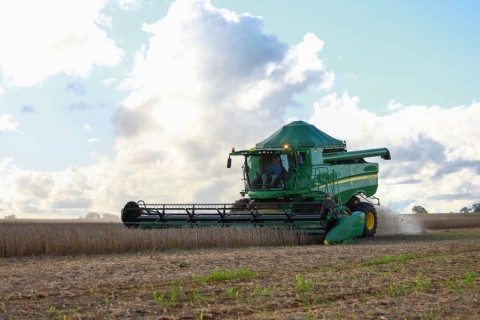 Agricultores mato-grossenses sofrem para manter a rentabilidade no campo