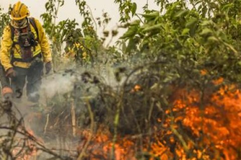 Brasil já registrou mais de 154 mil focos de calor este ano