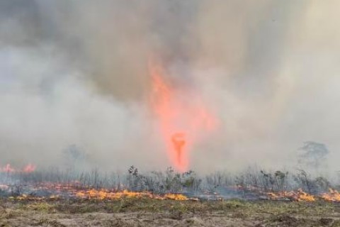 MT registra 3ª maior queda de vegetação e clima cobra conta