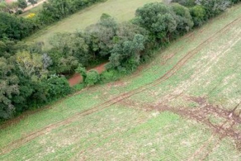 Senador propõe benefício financeiro para quem proteger 80% da vegetação nativa