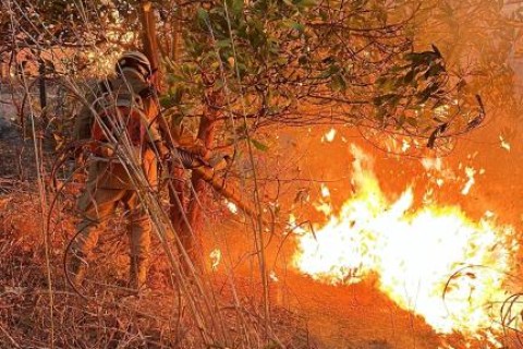 Fogo na av. do CPA foi extinto após 8 horas; Morro da Luz volta a queimar