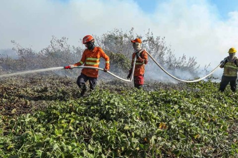 Bombeiros extingue quatro incêndios e combate outros 26 em MT