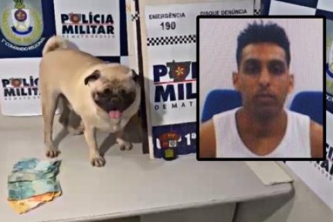 Casal furta cachorro e cobra R$ 400 de resgate às vítimas; suspeita foi presa