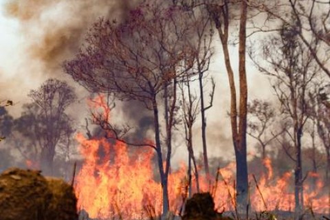 Fogo devasta terras indígenas mato-grossenses desde julho