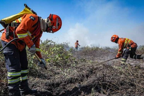 Corpo de Bombeiros combate 23 incêndios florestais