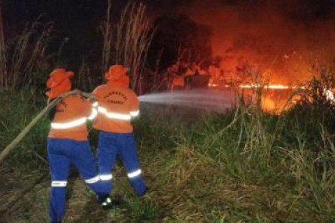 Situação de emergência por incêndio florestal cresceu 354% em agosto