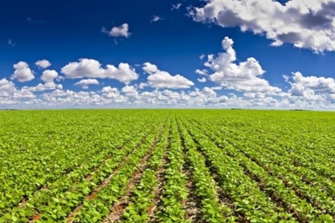 Sustentabilidade no campo: produtores da Aprosoja Mato Grosso reforçam compromisso ambiental com logística reversa