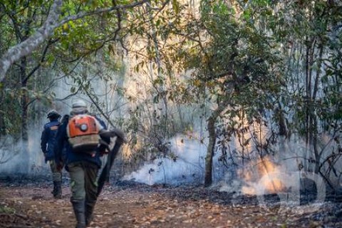 Queimadas aumentaram 371% em relação a 2023 no Estado