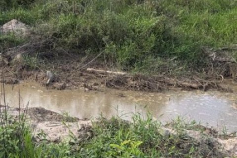 Corpo é encontrado boiando em córrego em área rural do interior do Estado