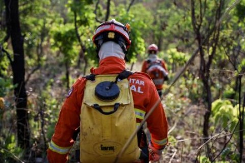 Corpo de Bombeiros extingue três incêndios e combate outros 49 nesta segunda-feira